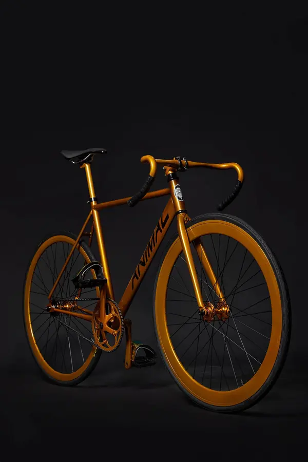 Bicicleta de ruta Animal naranja